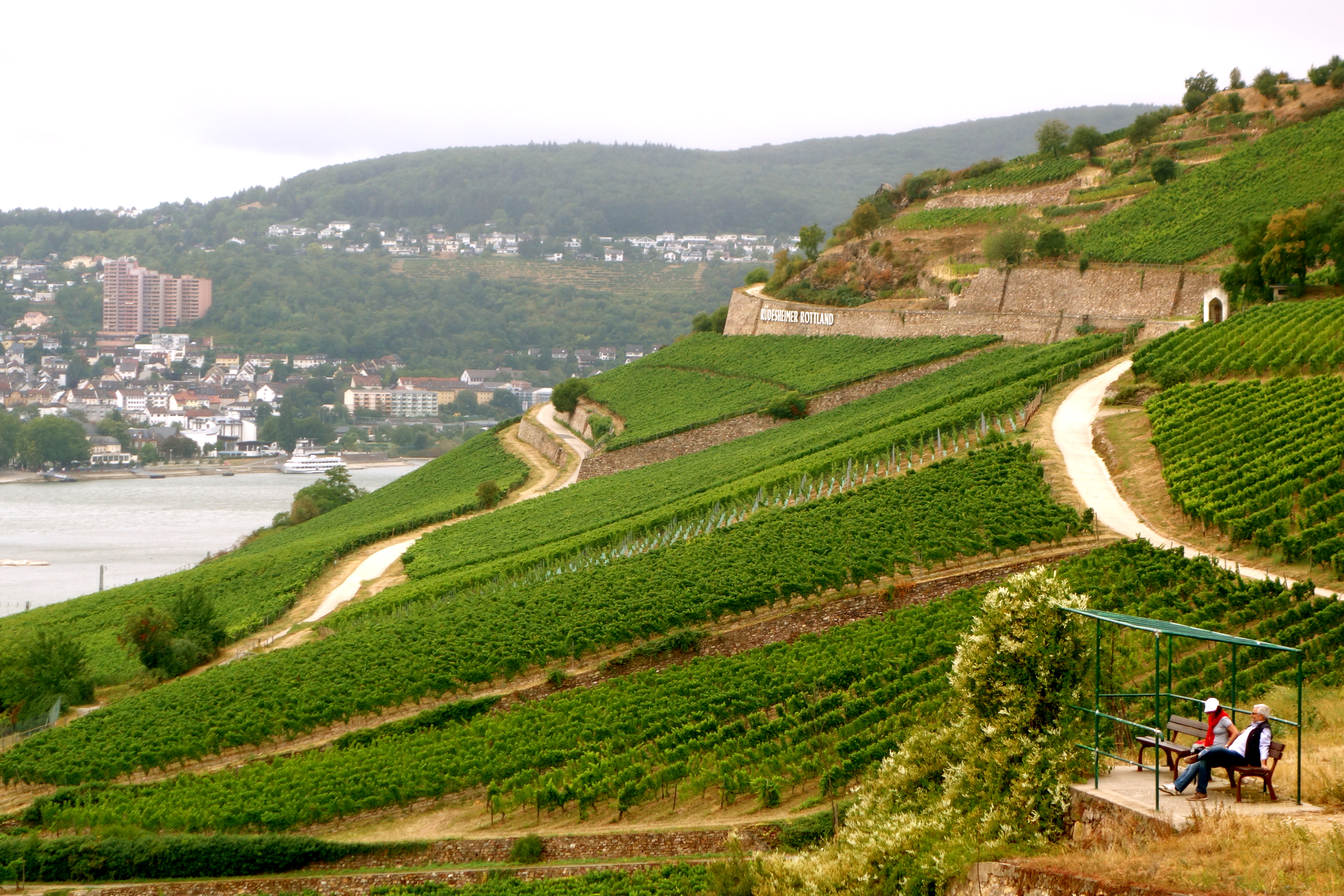 Rdesheim Wine: A Journey Through Germany’s Wine Country